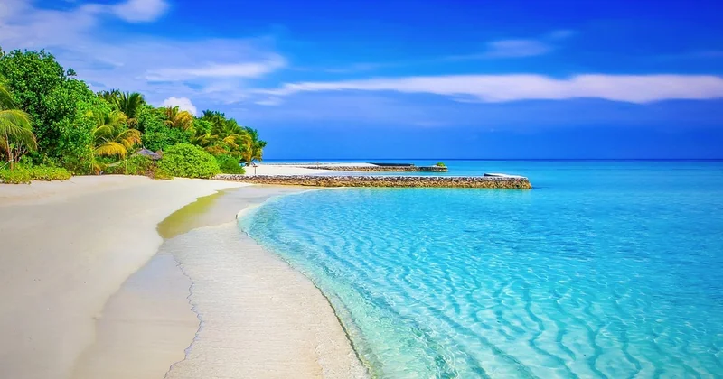 Quelle est la plage la plus rare au monde ?